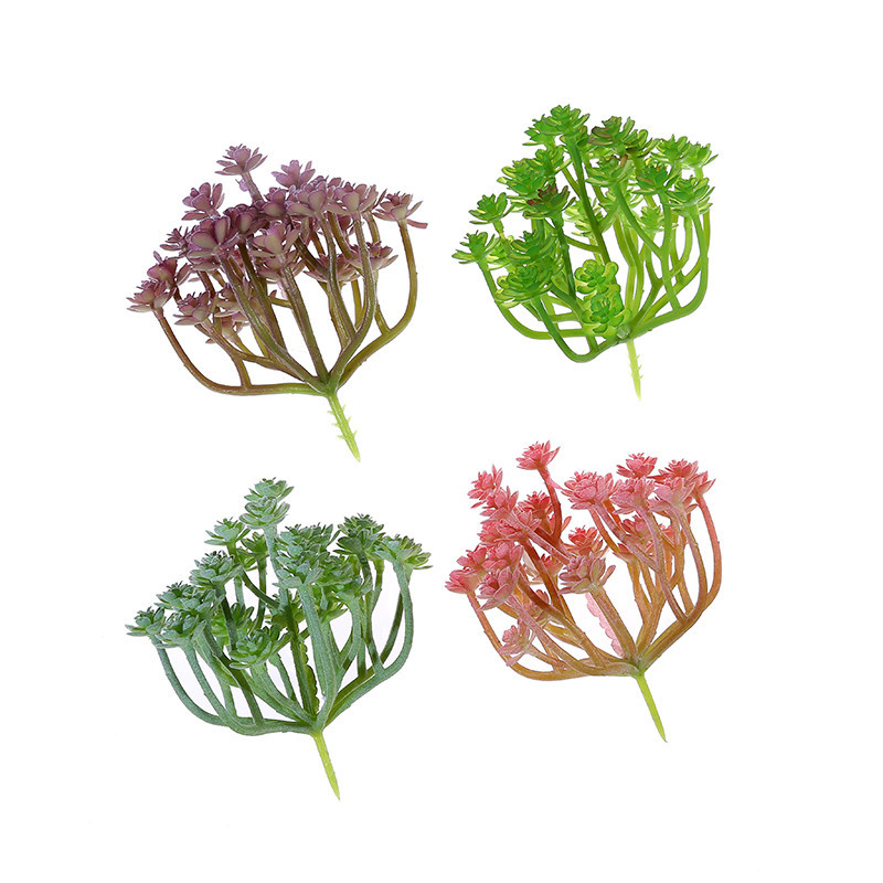 Succulent Arrangement Mini - Wusmart Xian Ren Ke tanaman sukulen
