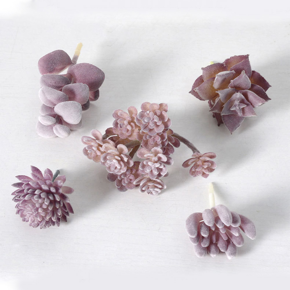 Succulent Arrangement Mini - Pot Tanaman Sukulen Bulat Cantik untuk