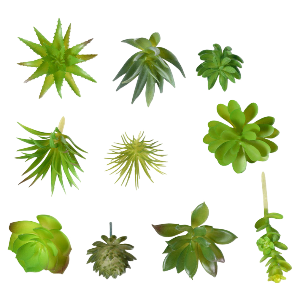 Succulent Arrangement Mini - Perlengkapan Fotografi Ramah Penggunaan untuk Susunan