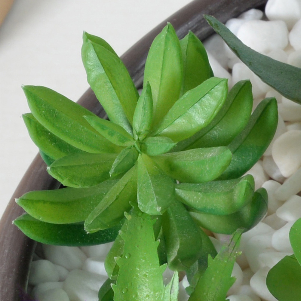 Succulent Arrangement Mini - Susunan Sukulen Buatan Bertema Mini Bonsai