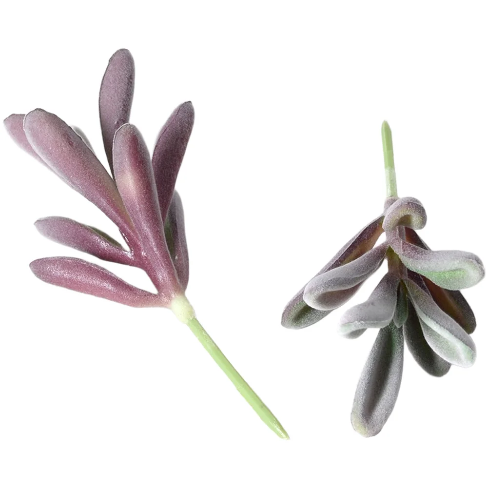 Sukulen Palsu PVC Berlapis Flo - Succulent Arrangement Mini ulasan dan harga