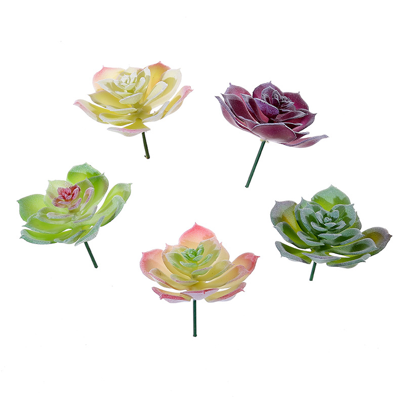 Tanaman Sukulen Buatan Wusmart - Succulent Arrangement Mini ulasan dan harga