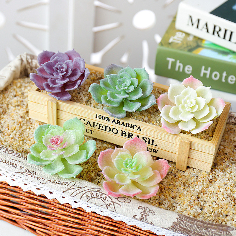 Tanaman Sukulen Buatan Wusmart - Succulent Arrangement Mini ulasan dan harga