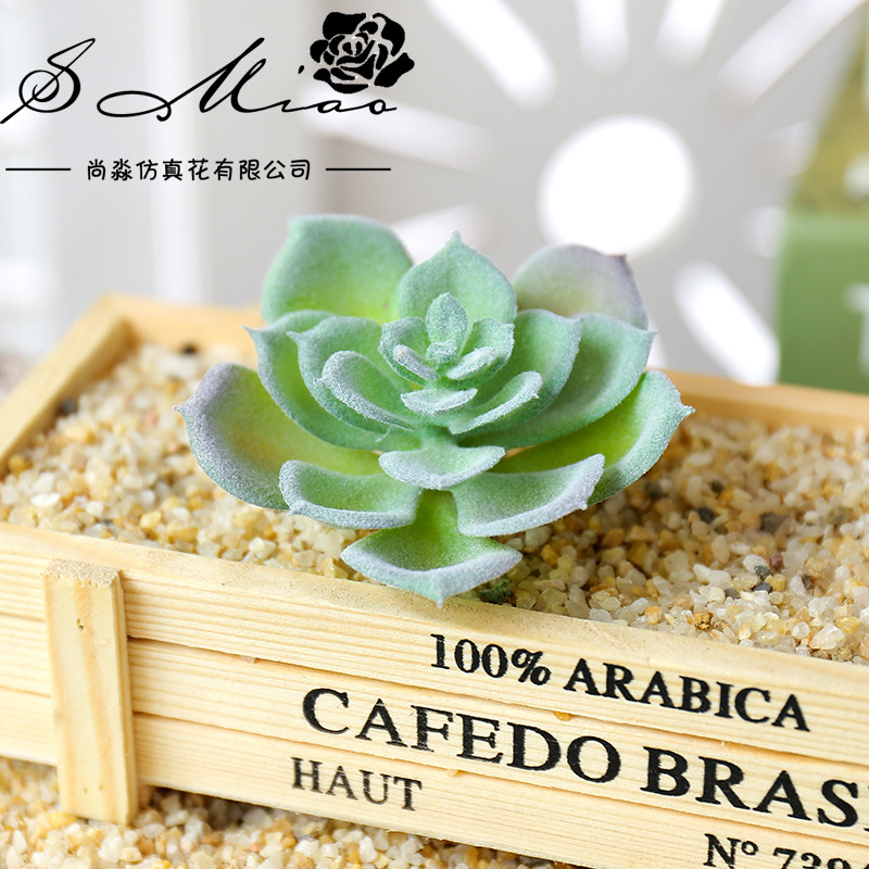 Tanaman Sukulen Buatan Wusmart - Succulent Arrangement Mini ulasan dan harga