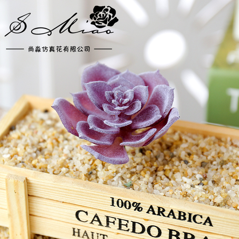 Tanaman Sukulen Buatan Wusmart - Succulent Arrangement Mini ulasan dan harga