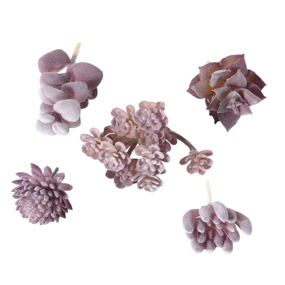 Rangkaian Sukulen Bergaya Mini - Succulent Arrangement Mini ulasan dan harga