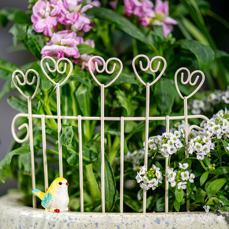 Pagar Pot Bunga Mini Unik dari - Succulent Arrangement Mini ulasan dan harga