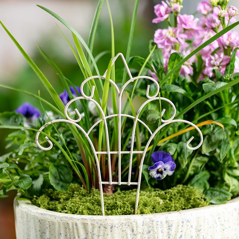 Pagar Pot Bunga Mini Unik dari - Succulent Arrangement Mini ulasan dan harga