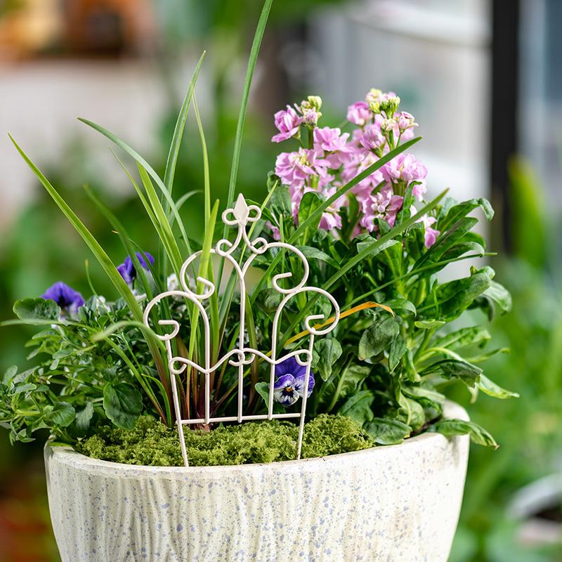 Pagar Pot Bunga Mini Unik dari - Succulent Arrangement Mini ulasan dan harga