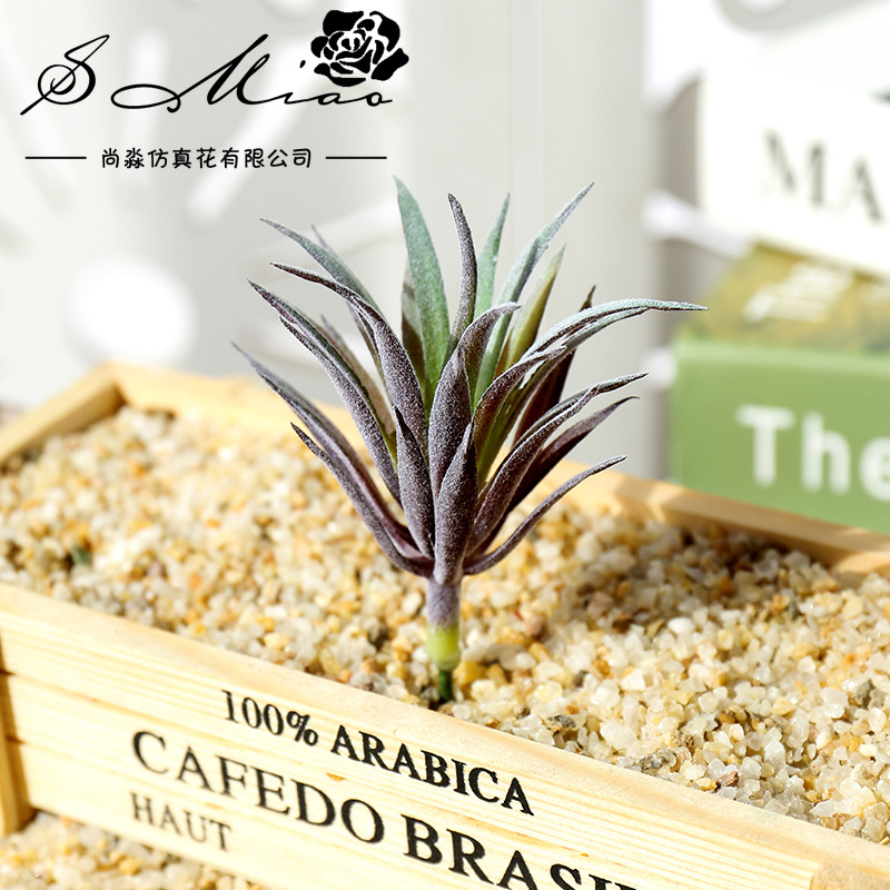 Tanaman Sukulen Buatan Mini Li - Succulent Arrangement Mini ulasan dan harga