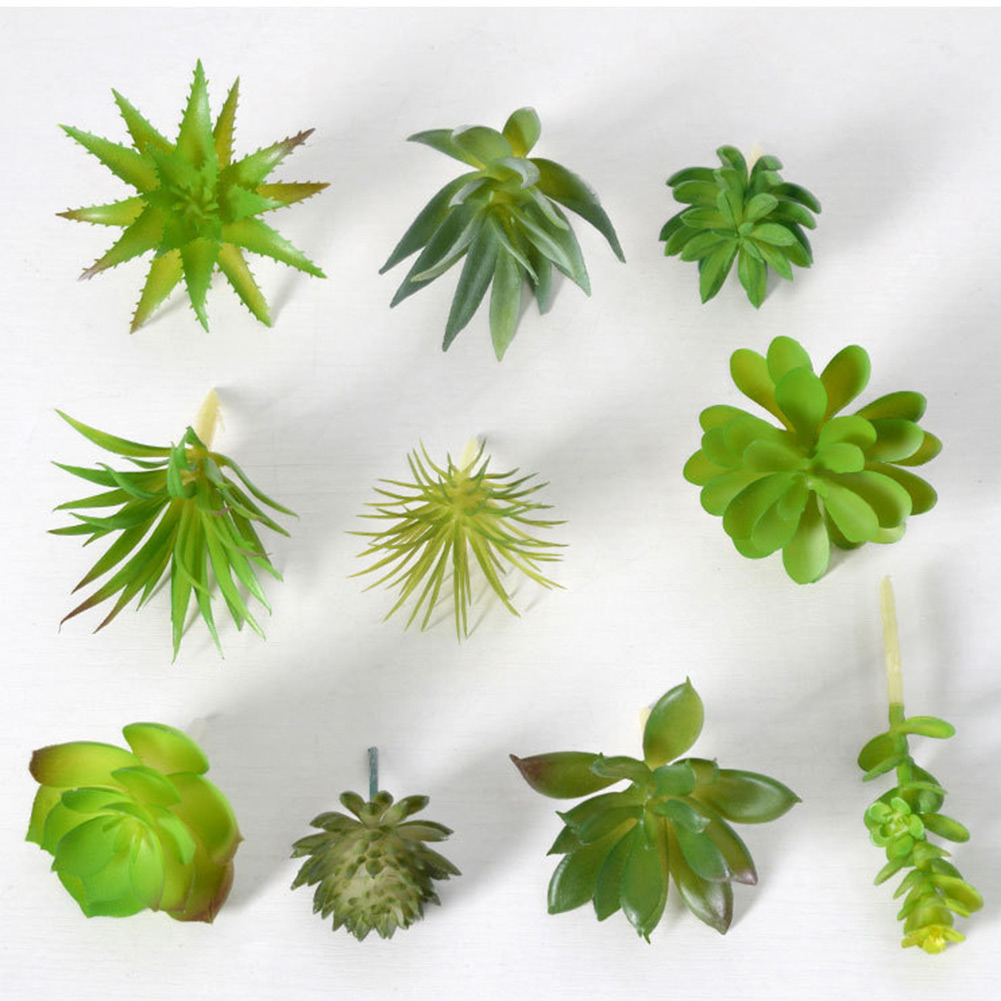 Pot Tanaman Sukulen Bulat Cant - Succulent Arrangement Mini ulasan dan harga