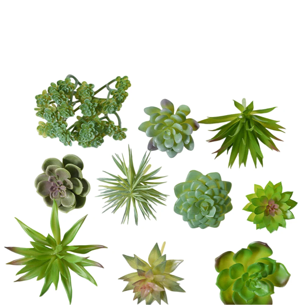 Pot Tanaman Sukulen Menawan Un - Succulent Arrangement Mini ulasan dan harga