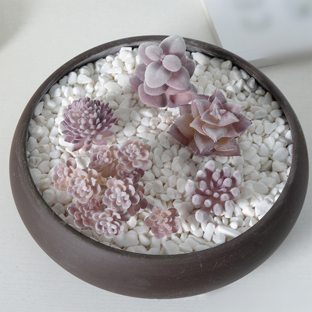 Perlengkapan Fotografi Ramah P - Succulent Arrangement Mini ulasan dan harga