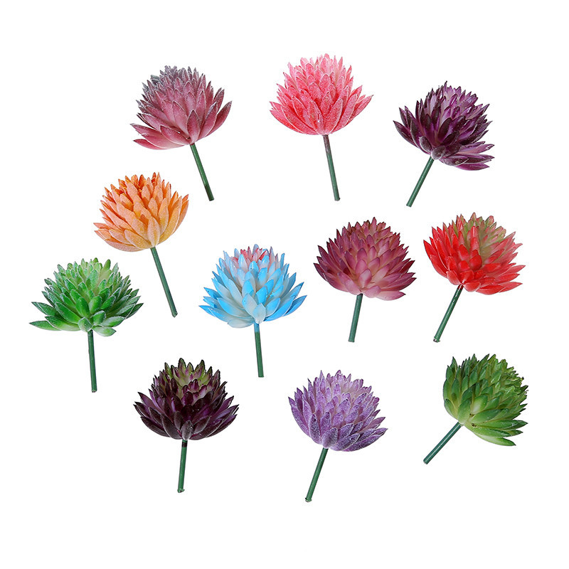 Wusmart Ji Wa tanaman segar bu - Succulent Arrangement Mini ulasan dan harga