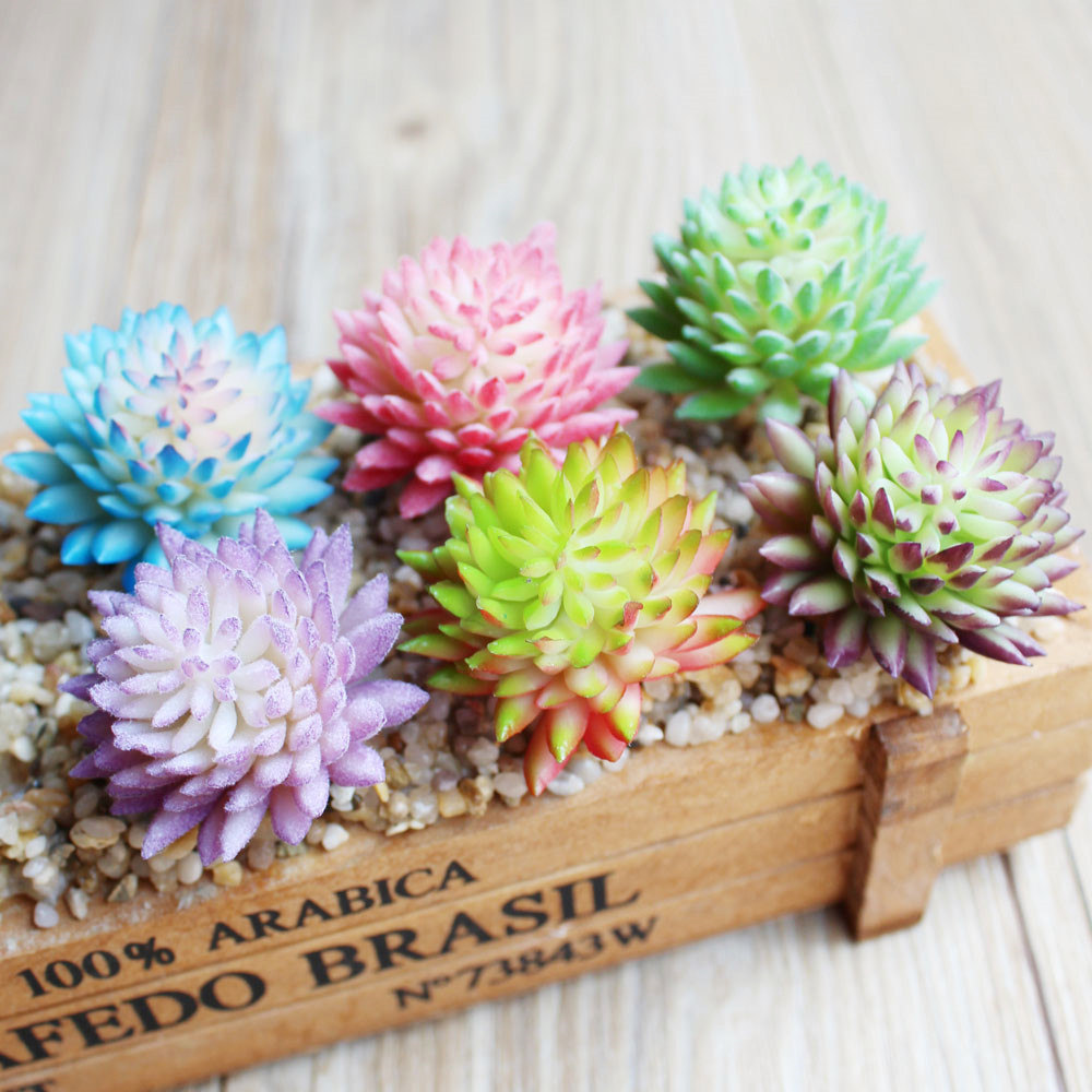 Wusmart Ji Wa tanaman segar bu - Succulent Arrangement Mini ulasan dan harga