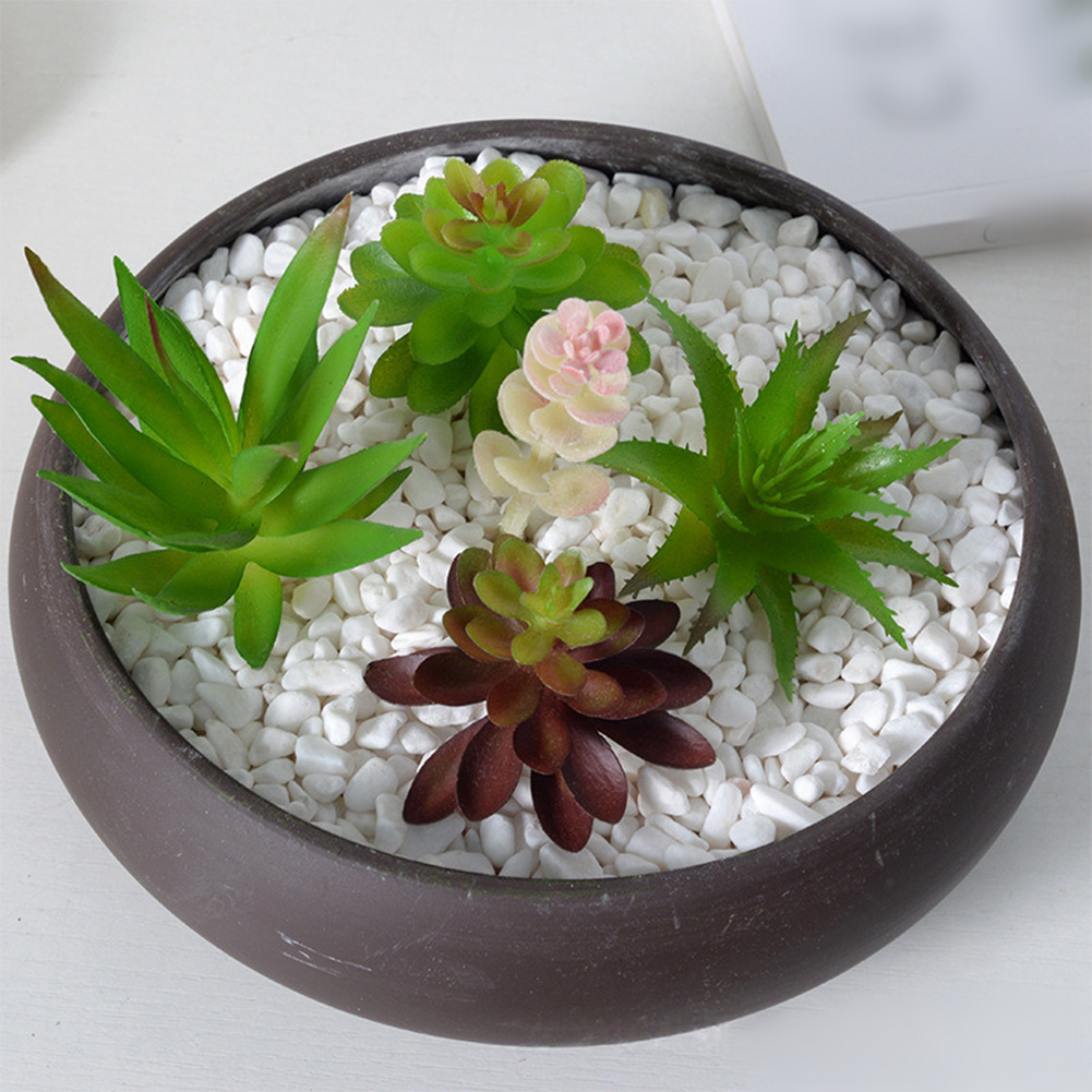Susunan Sukulen Buatan Bertema - Succulent Arrangement Mini ulasan dan harga