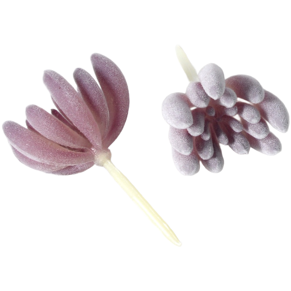 Sukulen Palsu PVC Berlapis Flo - Succulent Arrangement Mini ulasan dan harga