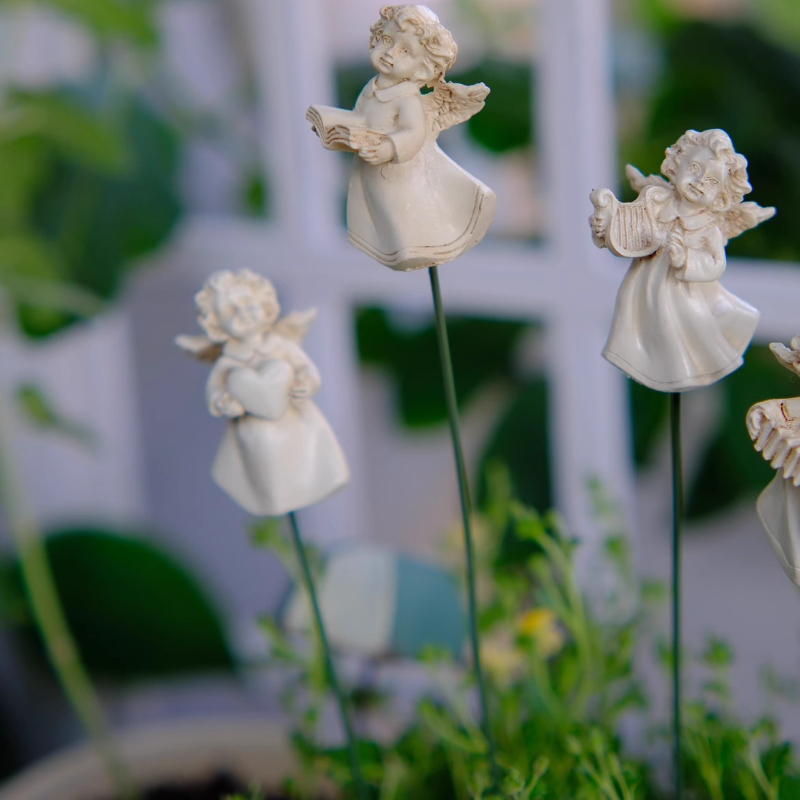 Penata Bunga Malaikat untuk De - Succulent Arrangement Mini ulasan dan harga